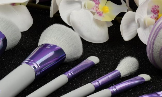 Brush Set & Sponge di Makeup Delight | Cosmyfy